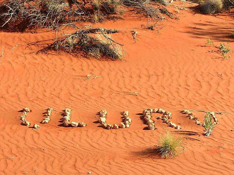 mit Steinen ausgelegt.jpg - Der Name „Uluru“ stammt aus, der Sprache der Anangu (die lokal ansaessigen Aborigines) und bedeutet „Sitz der Ahnen“.